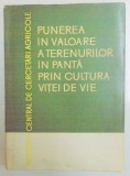 PUNEREA IN VALOARE A TERENURILOR IN PANTA PRIN CULTURA VITEI DE VIE , 1962