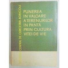 PUNEREA IN VALOARE A TERENURILOR IN PANTA PRIN CULTURA VITEI DE VIE , 1962