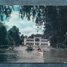 625 - Cluj-Napoca - vedere din parc / Chios lacul / RPR color /carte postala