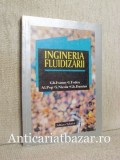 Ingineria Fluidizarii - Gh. Ivanus - Hidrodinamica, Carte Stiinta, Fizica