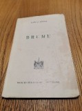 BRUME Poeme - Vlaicu Barna - W. Siegfried (Ilustratii) - Sighisoara, 1940, 96 p., Alta editura