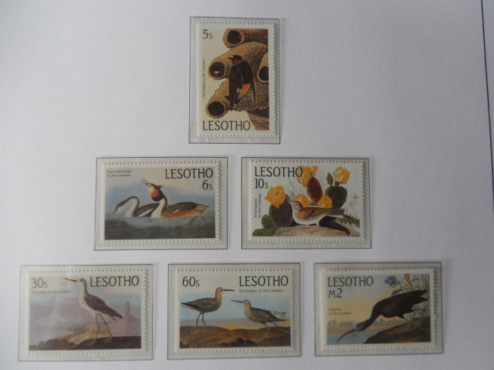 Lesotho-Fauna,pasari-serie completa -nestampilate