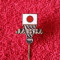 Insigna sport-baschet - Federatia de Baschet din JAPONIA