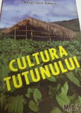 CULTURA TUTUNULUI