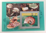 Ciuperci - Comore 1983 - Coliță Nautilus pompilius &amp; Ciuperci de Pădure CP1_I