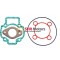 Garnituri scuter 2 Timpi Piaggio / Gillera (racire apa) 4 colturi