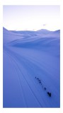 Tablou Canvas, "Sănii trase de c&acirc;ini &icirc;n zori", Albastru, &Icirc;ntindere, Zăpadă, Sănii, C&acirc;ini, Dealuri, Cer, Siluete, Peisaj, Trasee, &Icirc;ndepărtat, 26 x 39 c