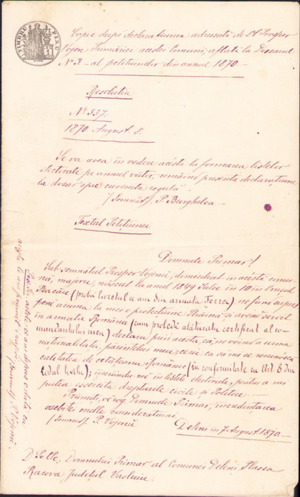 HST A233 Copie legalizată de epocă 1879 județul Vaslui