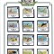 DB1 Colonii Ins. Falkland 1998 Fauna Pasari 12 v. MNH in haviduri pe foaie de album