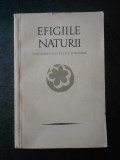 PETRE STOICA - EFIGIILE NATURII. ANTOLOGIA PASTELULUI ROMANESC