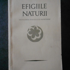 PETRE STOICA - EFIGIILE NATURII. ANTOLOGIA PASTELULUI ROMANESC