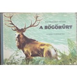 Czifferszky Istv&aacute;n &ndash; A bőgők&uuml;rt