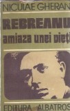 Rebreanu. Amiaza unei vieti - Niculae Gheran