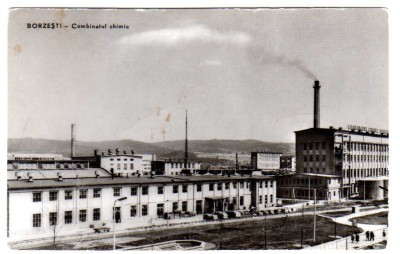 BORZESTI COMBINATUL CHIMIC foto