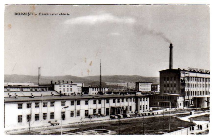 BORZESTI COMBINATUL CHIMIC