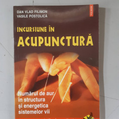 Incursiune in acupunctura - Dan Vlad Filimon , Vasile Postolica