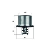 Mahle termostat, lichid racire Behr