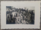 Peisaj din Fieni, 1938// fotografie