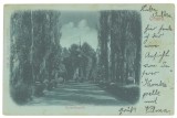 3168 - ORSOVA, Park, Litho, Romania - old postcard - used - 1899