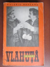 Vlahuta si epoca sa