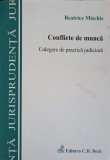 CONFLICTE DE MUNCA-BEATRICE MISCHIE