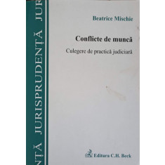 CONFLICTE DE MUNCA-BEATRICE MISCHIE