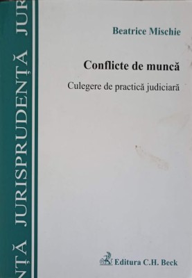 CONFLICTE DE MUNCA-BEATRICE MISCHIE -148182 foto