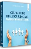 Culegere de practica judiciara. Materia minori si familie - Cristina Dobre