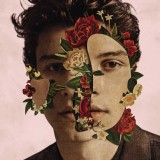 Shawn Mendes | Shawn Mendes, virgin records