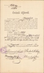 A818 Certificat de salarizare, 1894, educatoare grădiniță Tomnatic, județul Timiș