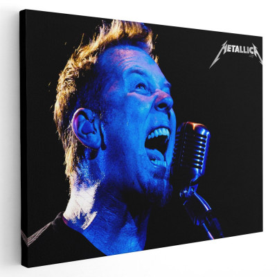 Tablou afis Metallica trupa rock 2323 Tablou canvas pe panza CU RAMA 50x70 cm foto