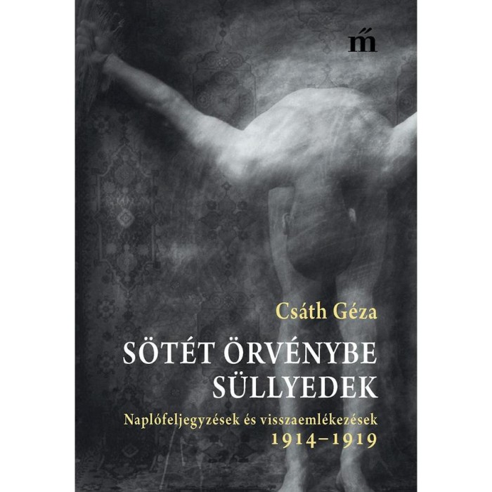 S&ouml;t&eacute;t &ouml;rv&eacute;nybe s&uuml;llyedek - Napl&oacute;feljegyz&eacute;sek &eacute;s visszaeml&eacute;kez&eacute;sek 1914-1919 - Cs&aacute;th G&eacute;za