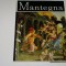 Mantegna - Alexandru Balaci