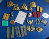 Lot efecte militate cuc RSR Semne arma lauri trese petlite RSR si dupa MAN MApN dog tag placute identificare