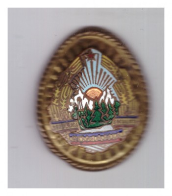 Insemn de coifura/cuc auriu soldat RSR, cu defecte la email foto