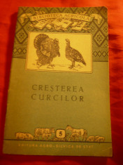 S.Stoicescu - Cresterea Curcilor - Ed. 1956 Biblioteca Agricola nr.5 , 52 pag foto