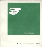 Cumpara ieftin Scrieri alese - Arthur Rimbaud