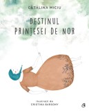 Cumpara ieftin Destinul Printesei de Nor, Curtea Veche