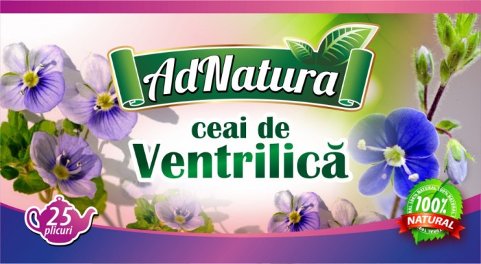 VENTRILICA 25DZ