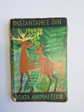 Instantanee din viața animalelor &ndash; Aut. Ionel Pop, Ed. Științifică, 1964