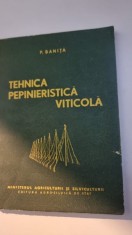 Tehnica pepinieristica viticola - P. Banita