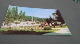 CARTE POSTALA -SOVATA -VEDERE DIN PARC CIRCULATA