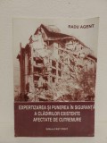 Radu Agent, Expertizarea Punerea in Siguranta a Cladirilor Afectate de Cutremure