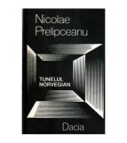 Nicolae Prelipceanu - Tunelul norvegian - Fragmente usor fantastice