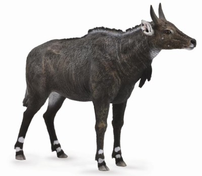 Figurina antilopa nilgai l collecta foto