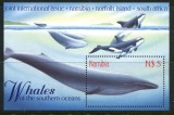 NAMIBIA 1998 FAUNA MAMIFERE MARINE BALENE, Nestampilat