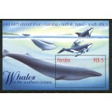 NAMIBIA 1998 FAUNA MAMIFERE MARINE BALENE