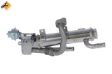 NRF 48311 EASY FIT Radiator, recirculare gaze de esapament