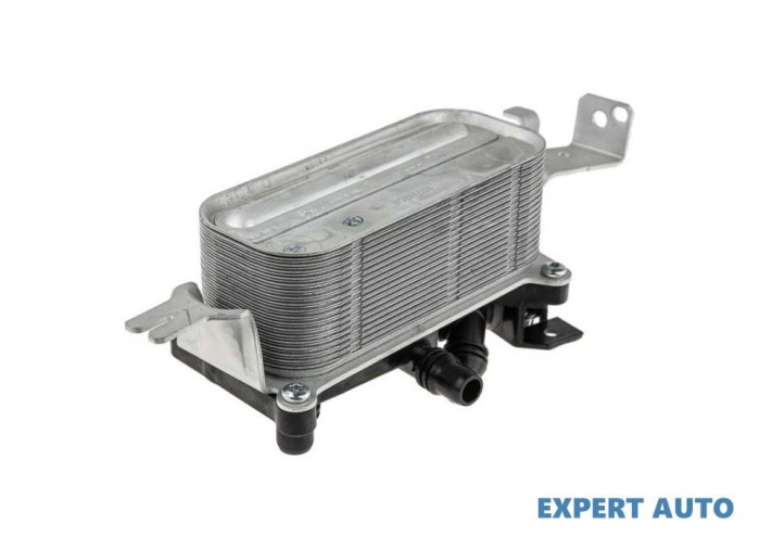 Radiator ulei BMW X5 (2007-&gt;) [E70] #1