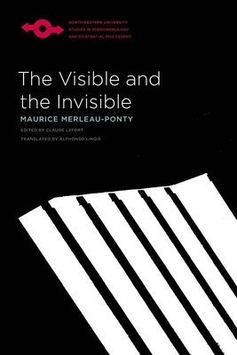 The Visible and the Invisible foto